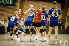 5_3327-copy